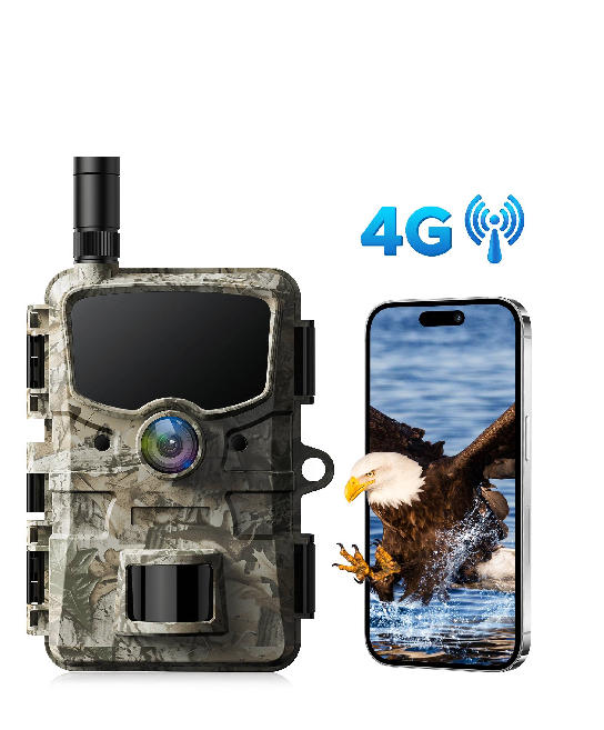US: TC20, 3-in-1 Connectivity Trail Camera, 1080P Day/Night Videos, 24MP